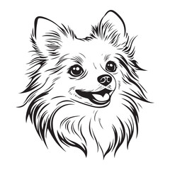 Pomeranian Face, Pomeranian dog breed Cute cartoon vector clipart Design, Silhouettes Dog Face, black and white Pomeranian vector