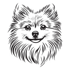 Pomeranian Face, Pomeranian dog breed Cute cartoon vector clipart Design, Silhouettes Dog Face, black and white Pomeranian vector