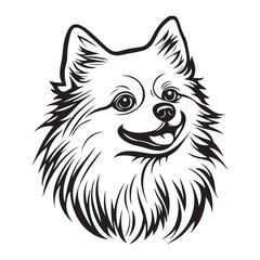 Pomeranian Face, Pomeranian dog breed Cute cartoon vector clipart Design, Silhouettes Dog Face, black and white Pomeranian vector