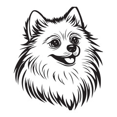 Pomeranian Face, Pomeranian dog breed Cute cartoon vector clipart Design, Silhouettes Dog Face, black and white Pomeranian vector