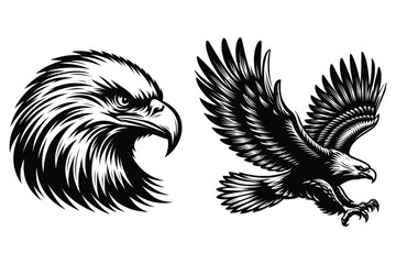 Eagle silhouette vector illustrations