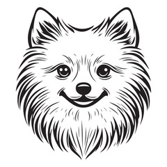 Pomeranian Face, Pomeranian dog breed Cute cartoon vector clipart Design, Silhouettes Dog Face, black and white Pomeranian vector