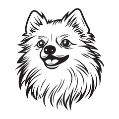 Pomeranian Face, Pomeranian dog breed Cute cartoon vector clipart Design, Silhouettes Dog Face, black and white Pomeranian vector