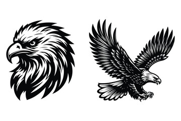Eagle silhouette vector illustrations