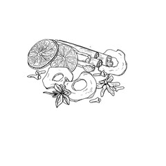 Winter healthy organic vegan dried spice heap hand drawn monochrome illustration. Orange and apple slices, cloves, badian, cinnamon sticks ingredients for mulled wines, Xmas drinks decor