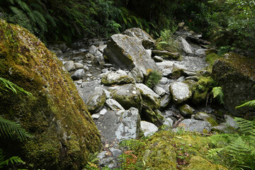 The pile of rocks is in the creek, covered with overgrown moss and lichens, deep within the temperate rainforest at Fox Glacier trekking, South Island, New Zealand.