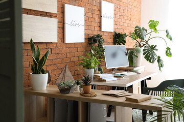 Interior of stylish office with modern workplace, shelving unit and houseplants
