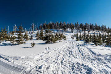 Hill with trees and snow covered hiking trail - Stribnicka hill in winter Kralicky Sneznik mountains in Czech republic