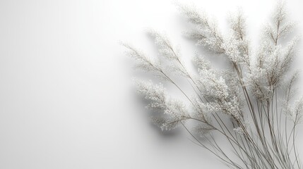 Solid white background with subtle organic elements like seed textures and natural fibers, creating a fresh and natural look.