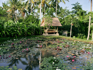 Serene tropical oasis with water lilies, palm trees, and traditional hut by the pond