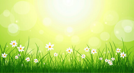 Fototapeta premium grass and flowers