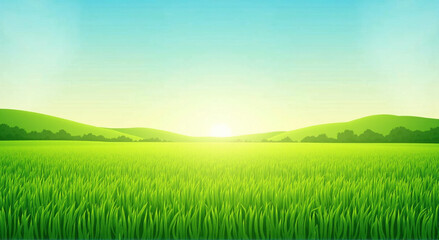 Fototapeta premium field and blue sky