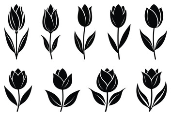Set of tulip flower silhouette vector art. Isolated on white background