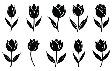 Set of tulip flower silhouette vector art. Isolated on white background