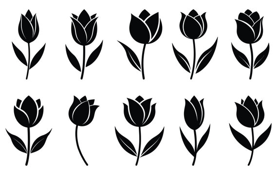 Set of tulip flower silhouette vector art. Isolated on white background