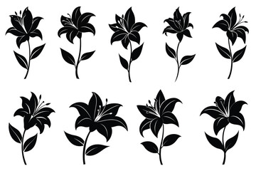 Set of Lily Flower Silhouette Vector Art. Isolated on White Background