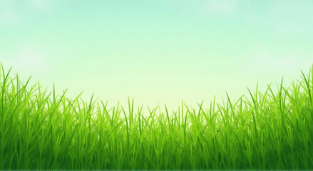 Fototapeta premium green grass background