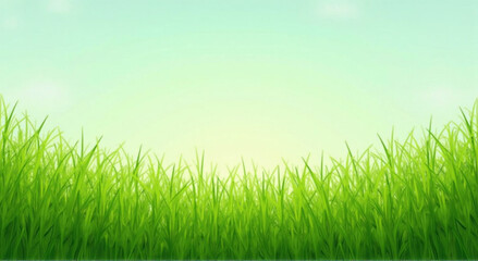 green grass background