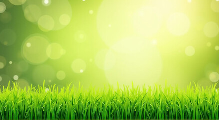Obraz premium green grass background