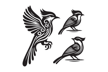 Birds vector and silhouette