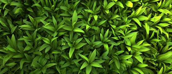 Fototapeta premium With copy space, this green grass background would be perfect for design concepts related to golf courses, soccer fields, and sports