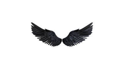Obraz premium The wings of a bird are shown in black and white. The wings are spread out and appear to be in motion. The image has a moody and mysterious feel to it, as if the wings are about to take flight