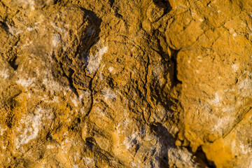 rdzawe tło drewniane naturalne i chropowate