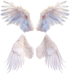 Angel wings, bird wings isolated from background.	