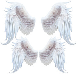 Angel wings, bird wings isolated from background.	