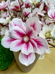 Fototapeta premium This is a closeup image of a beautifully arranged pink and white flower placed elegantly in a decorative vase