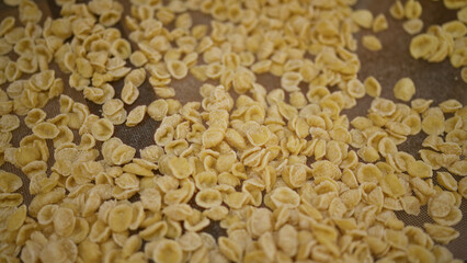 Dried pasta shells spread outdoors in bari, puglia, italy, showcasing traditional italian culinary practices in an authentic european setting.