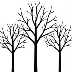 High contrast black and white image of leafless trees branches isolated on white background.