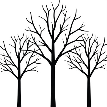 High contrast black and white image of leafless trees branches isolated on white background.
