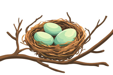 eggs in a nest