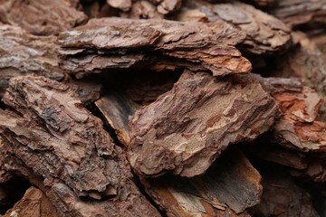 Pieces of tree bark as background, closeup