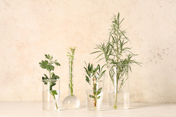Laboratory glassware with herbs and plants on grunge beige background