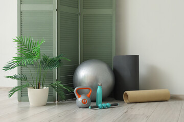Set of sports equipment, houseplant and folding screen near light wall