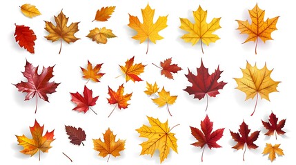 Fototapeta premium Fall and autumn leaves isolated on a white background collection 