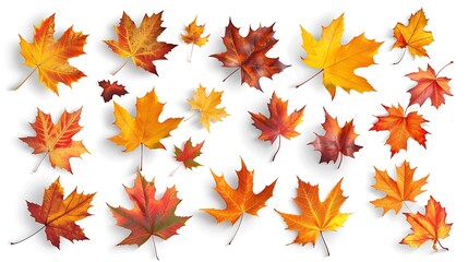 Fall and autumn leaves isolated on a white background collection Aİ Generative