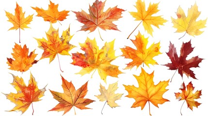 Fototapeta premium Fall and autumn leaves isolated on a white background collection Aİ Generative