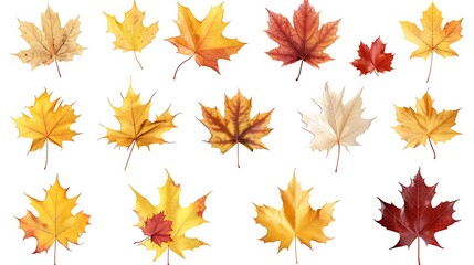 Fototapeta premium Fall and autumn leaves isolated on a white background collection Aİ Generative