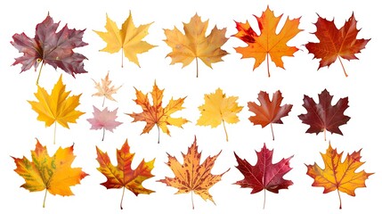 Fototapeta premium Colorful Autumn falling leaves isolated on transparent background. Ai Generative 