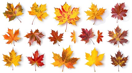 Fototapeta premium Colorful Autumn falling leaves isolated on transparent background. Ai Generative 