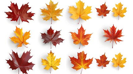 Fototapeta premium Colorful autumn leaves set isolated on white background ai generative