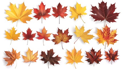 Fototapeta premium Colorful autumn leaves set isolated on white background Al Generative 