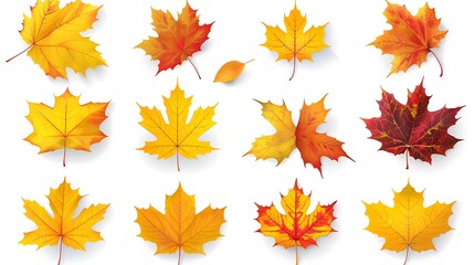 Fototapeta premium Colorful autumn leaves set isolated on white background Al Generative 