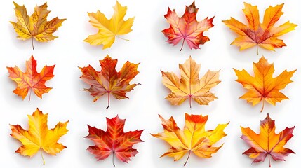 Fototapeta premium Colorful autumn leaves set isolated on white background Al Generative 