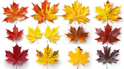 Fototapeta premium Colorful autumn leaves set isolated on white background Al Generative 