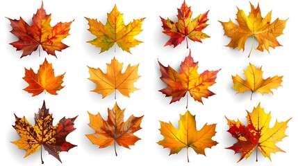 Fototapeta premium Colorful autumn leaves set isolated on white background Al Generative 