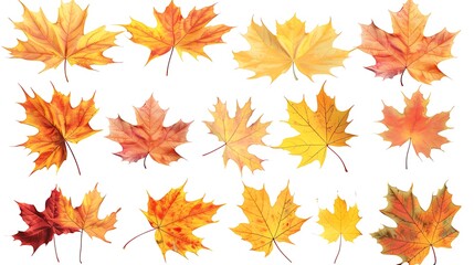 Colorful autumn leaves set isolated on white background Al Generative 
